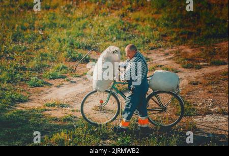 a farmer carries a bag of cut grass on a bicycle Stock Photo