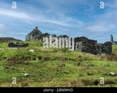 Row of ruined houses in abandoned settlement of Riasg Buidhe, Isle of Colonsay, Scotland, UK. Stock Photo