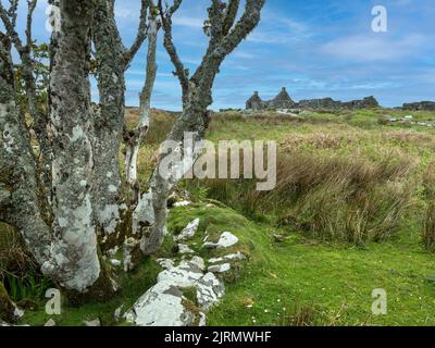 Row of ruined houses in abandoned settlement of Riasg Buidhe, Isle of Colonsay, Scotland, UK. Stock Photo