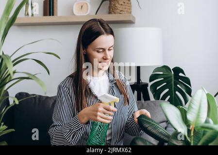 Collection of various tropical green plants in different pots. Positive beautiful young brunette female gardeners watering and cleaning leaves. Home g Stock Photo