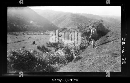 Horowhenua Geological and Tararua Range, 25 September 1938, by Leslie ...