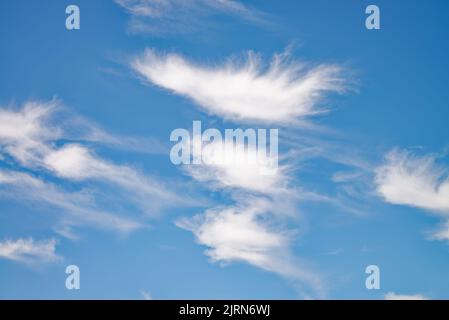 Random abstract irregular shapes formed by wispy high altitude white clouds against a deep blue sky Stock Photo