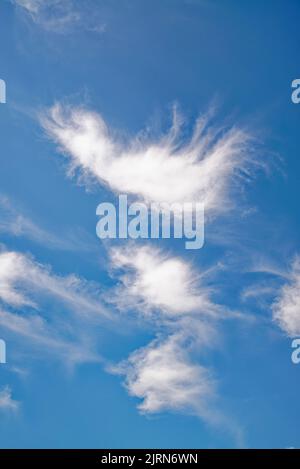 Random abstract irregular shapes formed by wispy high altitude white clouds against a deep blue sky Stock Photo