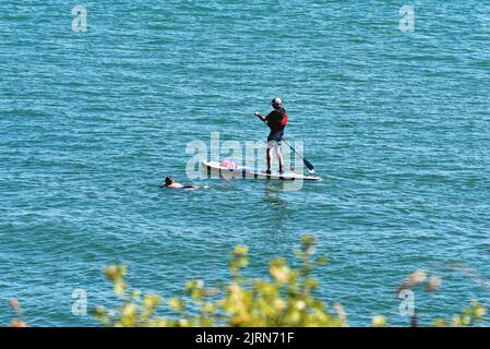 A man paddle boarding  with a swimmer next to him on the blue sea at Lepe on a summers day Hampshire England UK Stock Photo