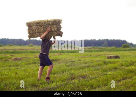 Defocus farmer carry hay stack. Portrait of a farmer going on an hay bale in his field. Man farmer holding the hay on shoulder. Copy space. Out of foc Stock Photo