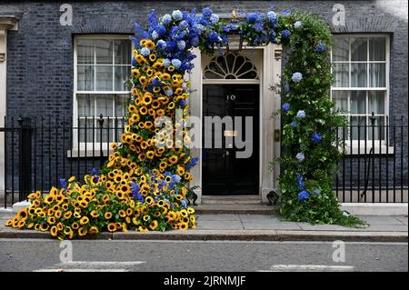 A sunflower arch decorated 10 Downing Street to celebrate Ukraine's Independence Day, Whitehall, London. UK Stock Photo