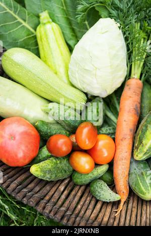There is a wooden basket with homemade vegetables in the garden. Selective focus. The concept of harvesting from the garden, close-up. Agriculture Stock Photo
