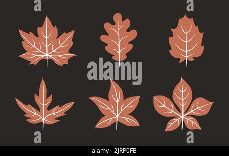 set of vector brown leaves with white details Stock Vector