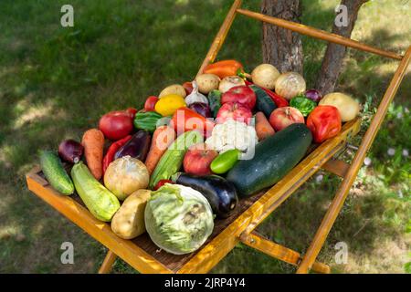 Layout made with of various vegetables and fruits on a table in a garden, outdoor. Stock Photo