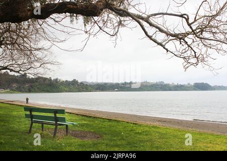 Lake, with resting bench in the lakes region, in Frutillar, southern Chile Stock Photo