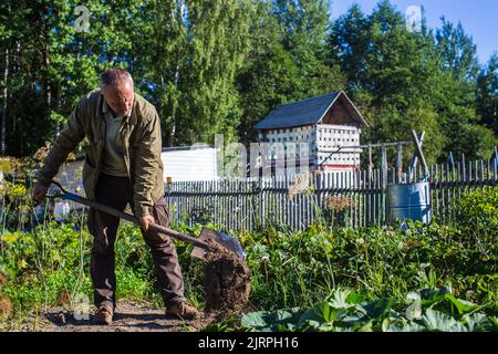 The farmer digs the soil in the vegetable garden. Preparing the soil for planting vegetables. Gardening concept. Agricultural work on the plantation Stock Photo