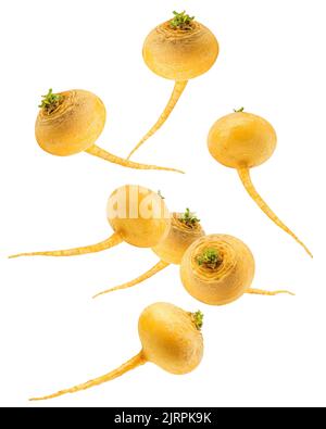 Falling yellow turnip, isolated on white background, clipping path, full depth of field Stock Photo