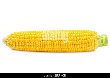 corn ear, isolated on white background, clipping path, full depth of field Stock Photo