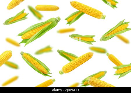 Falling corn ear, isolated on white background, selective focus Stock Photo