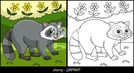 Racoon Animal Coloring Page Colored Illustration Stock Vector