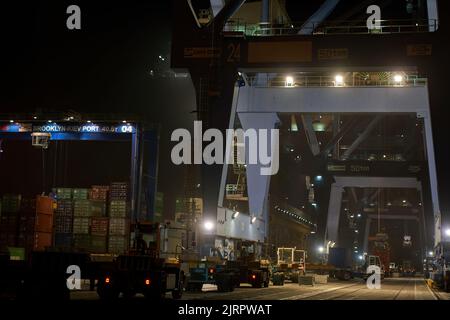 Odessa, Ukraine SIRCA 2019: Container ship at port terminal. Containers loading by crane in night , Trade Port. container operation in port series Stock Photo