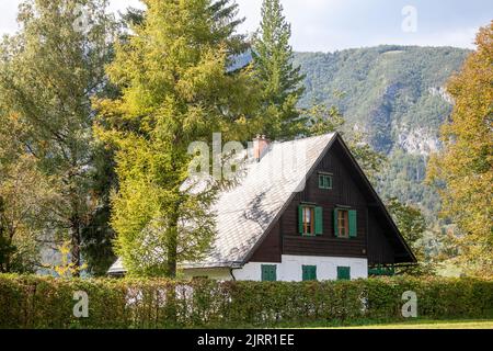 Picture of a glade of the mountains of the alps, in summer, with a slovenian chalet in the background, a typical house from the julian alps, in Stara Stock Photo