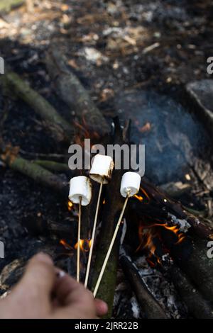 Marshmallow on a stick at the stake. Fried marshmallows. Picnic in the nature. Marshmallows on a background of fire Stock Photo