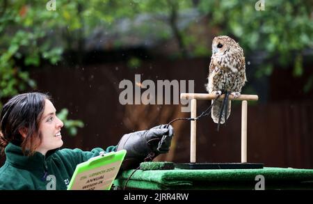 London, Britain. 25th Aug, 2022. Penguins Are Seen During The Annual ...