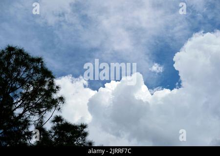 White puffy cumulus clouds on summer blue sky Stock Photo