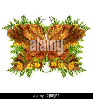 floral butterfly made of bizarre curved extruded dried lily petals. yellow celandine pressed flowers and dried up a huge crumpled brown with golden an Stock Photo