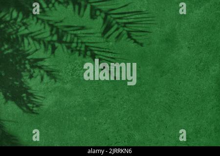 Fir tree shadows on dark green concrete wall texture background Stock Photo