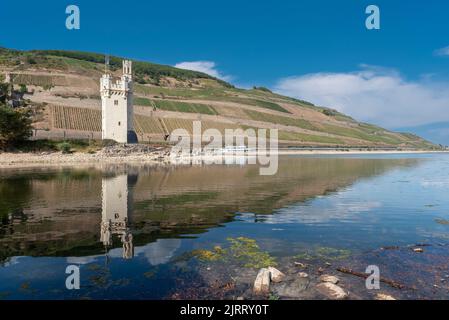 Rhine and Mouse Tower at extremely low water levels in the drought summer of 2022, Bingen am Rhein, Rhineland-Palatinate, Germany, Europe Stock Photo