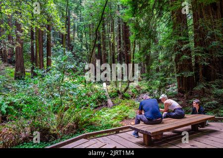 Visitors to Muir Woods in Marin County, California, USA sit and rest on a bench with a vista of redwood sequoia trees beyond Stock Photo