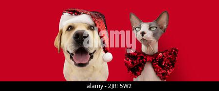 Banner Christmas pets. Labrador retriever dog and sphynx cat wearing a santa claus and and bow tie. Isolated on red background Stock Photo