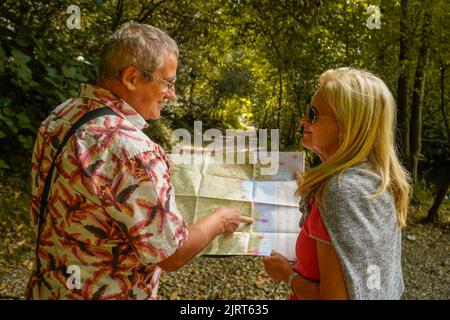 couple of hikers looking at a map in autumn in the middle of the forest Stock Photo