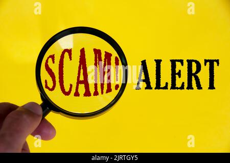 Scam alert text on yellow cover with hand holding magnifying glass. Scamming and fraud concept. Stock Photo