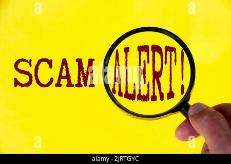Scam alert text on yellow cover with hand holding magnifying glass. Scamming and fraud concept. Stock Photo