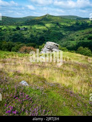 View from Bench Tor, across the valley of the River Dart to Sharp Tor.  Dartmoor National Park, Devon, UK. Stock Photo