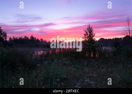 Magic colourful sunrise by the lake with morning fog.  Dark silhouette of trees and water with colourful reflections. Beautiful dusk sky nature landsc Stock Photo