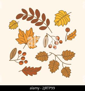 set of vector leaves and berries with outline Stock Vector