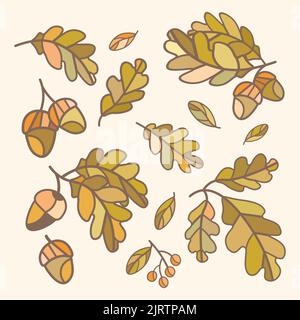 set of vector oak leaves with acorns Stock Vector