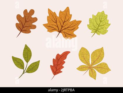 set of vector leaves with texture and autumn  Stock Vector