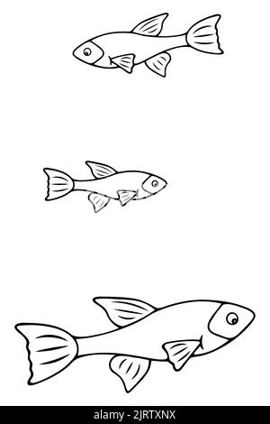 Freshwater fish. Guppy. Pet in the aquarium. Sketch. Set of vector illustrations. Doodle style. Outline on isolated background. Coloring book. Stock Vector
