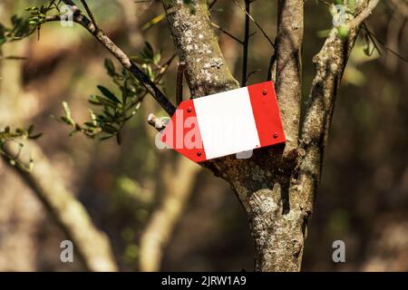 Close-up of a red and white directional trail sign with copy space hanging on an olive tree, footpath in Liguria, Cinque Terre, Italy, Europe. Stock Photo