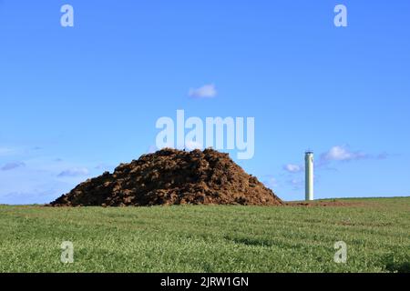 Pile of manure on agricultural field for growing bio products Stock Photo