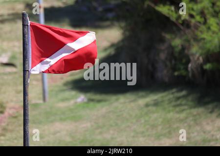 Diver down flag with grass on a background Stock Photo