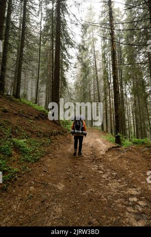 Tourist hiking with large backpacks through the Carpathians, tourists on a hike. Stock Photo