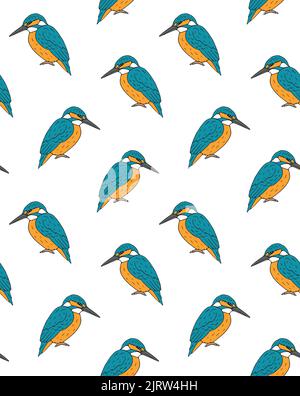 Vector seamless pattern of hand drawn doodle sketch colored kingfisher isolated on white background Stock Vector