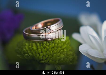 Two wedding rings on a green flower. Stock Photo