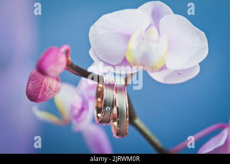 Two wedding rings on a pink orchid. Stock Photo