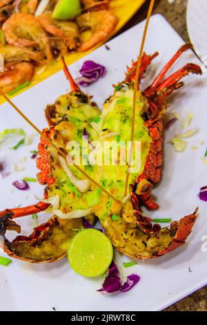 Delicious grilled lobster in a white plate in restaurant Stock Photo