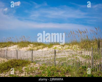Snow fence in sand dunes on the Atlantic Ocean beach in Washington Oaks Gardens State Park in Palm Coast Florida USA Stock Photo