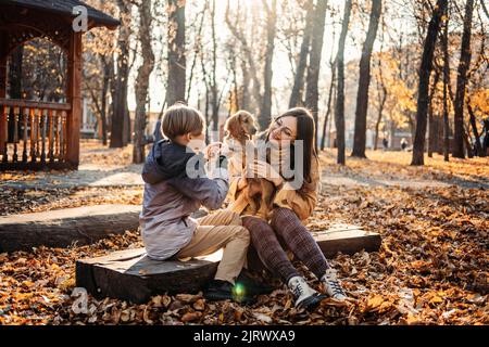 Pet care advice for autumn. Happy family mother and teen boy son walking and having fun with cocker spaniel puppy Stock Photo