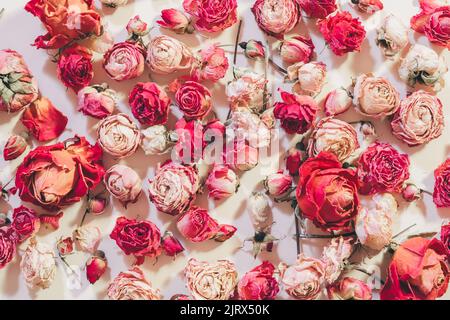 celebration flower background rose arrangement Stock Photo