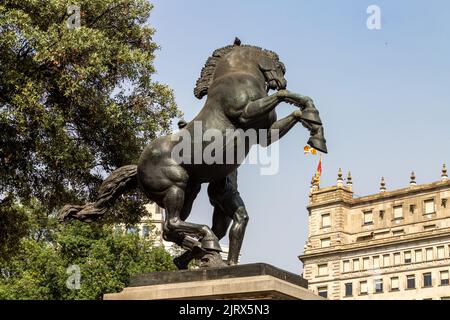 A beautiful view of a horse statue in the Placa de Catalunya square in Barcelona, Spain Stock Photo